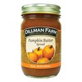 Dillman Farm All Natural Pumpkin Butter Spread 15 oz Jar, 15PK 10361